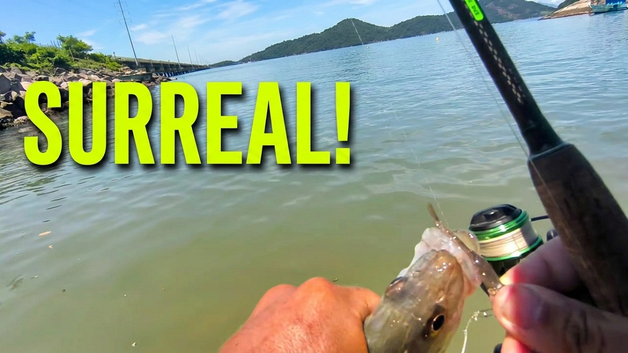 🎣 O QUE DEU NA PONTE DA VALE? Pescaria em Santo Antônio - Mangaratiba!