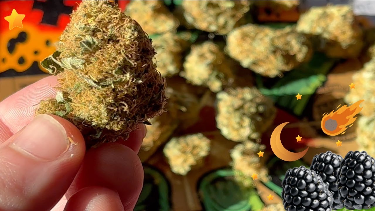 Blackberry Moon Rock Strain Review