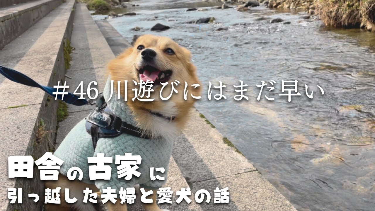 【田舎暮らし】名勝”長門峡”の入り口にある魅力たっぷりな道の駅を堪能してきました【#46】