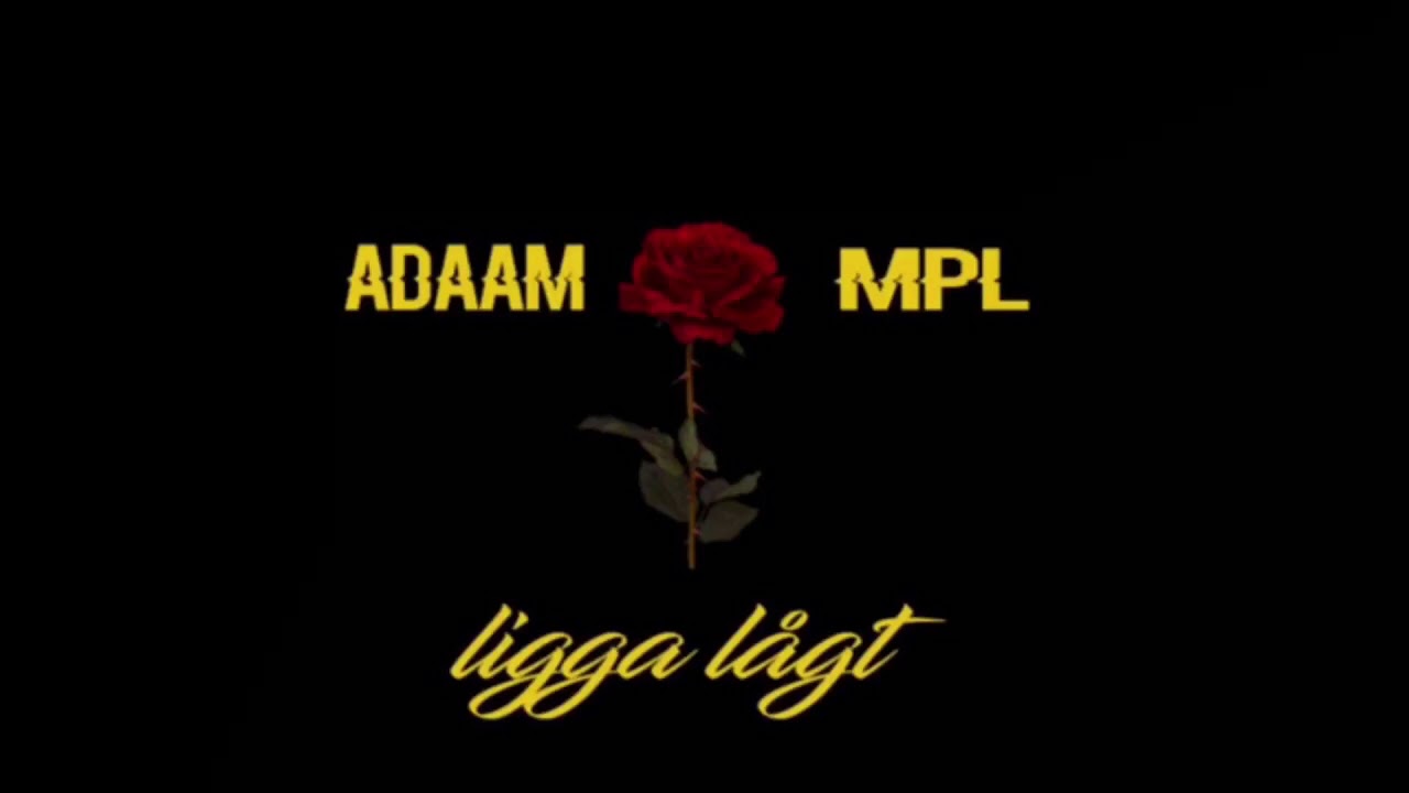 ADAAM Feat. MPL - Ligga lågt (instrumental) [Prod. Donny]