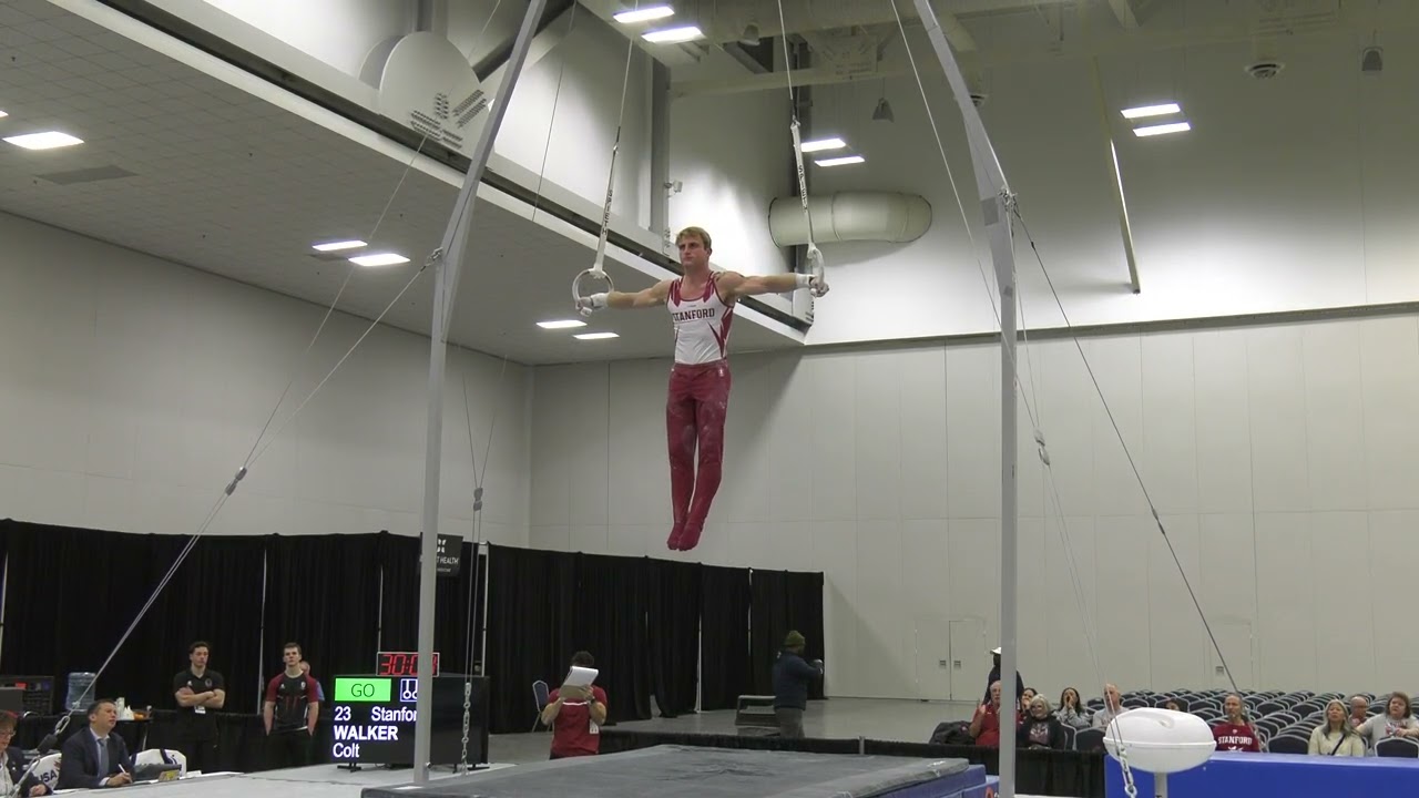 Colt Walker -  Still Rings  - 2025 Winter Cup -  Men Day 2