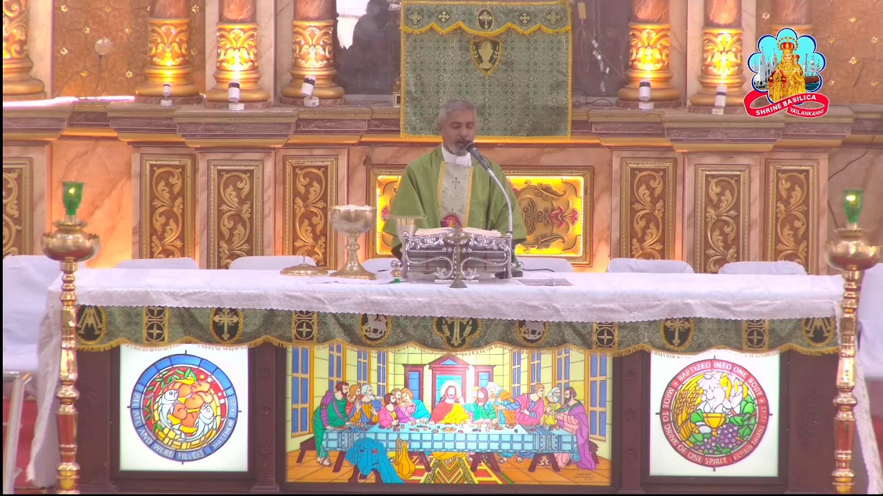 🔴 Live 29 January 2026 @ Vailankanni Shrine Basilica