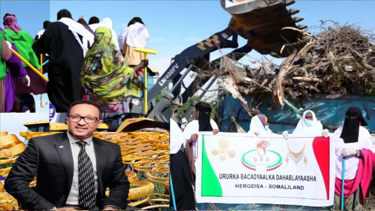 Ururka Dahablayaasha Bacadyaal Oo Ka Jawaabay Dalabkii Maayir Mooge
