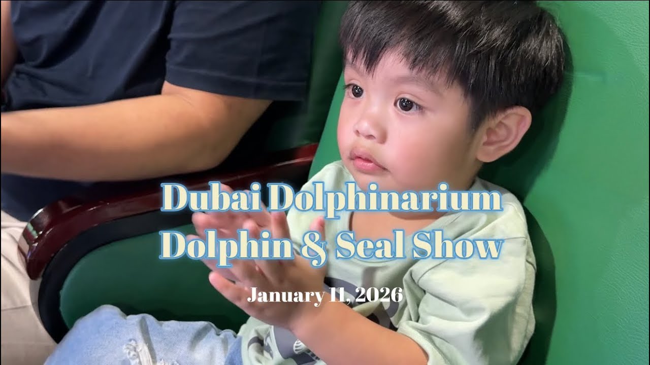 Dubai Dolphinarium: Dolphin & Seal Show