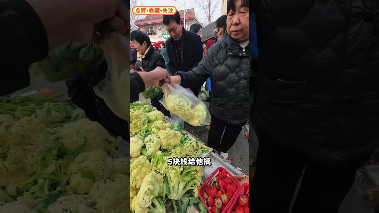 Cauliflower Sold Out Before New Year! Mass Demand Exposed