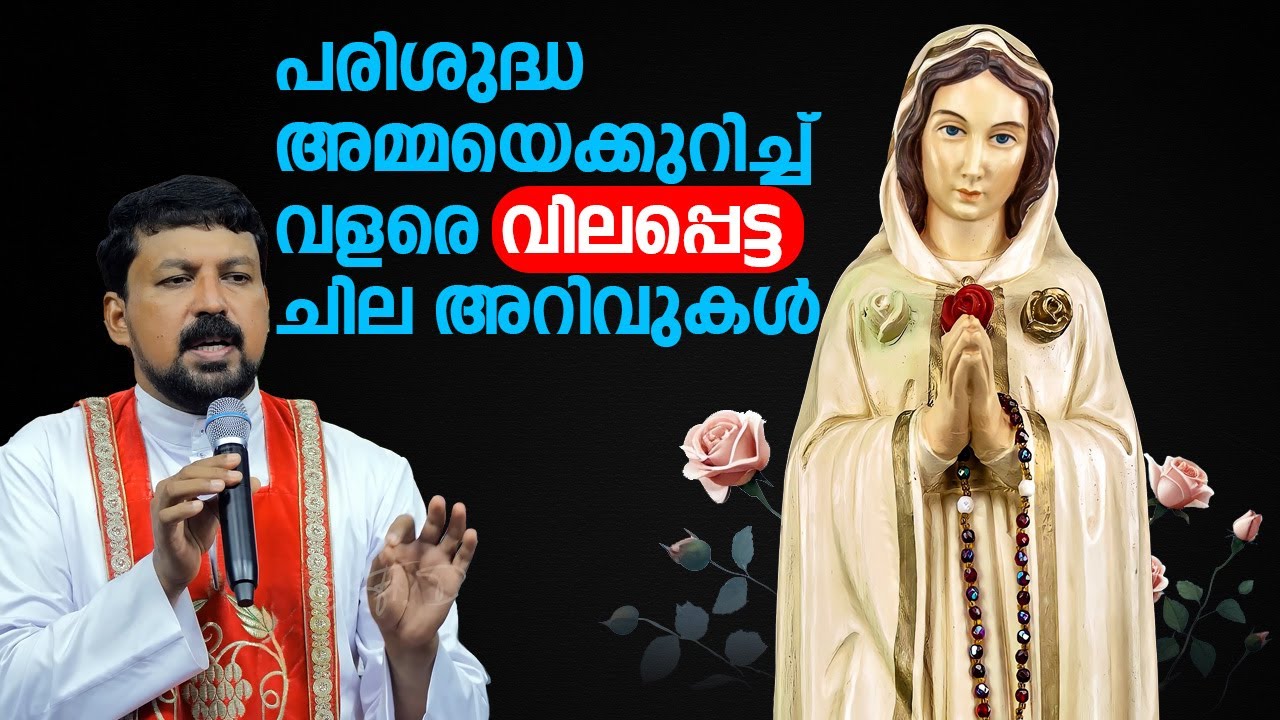 പരിശുദ്ധ അമ്മയെക്കുറിച്ച് വളരെ വിലപ്പെട്ട ചില അറിവുകൾ. Fr. Daniel Poovannathil