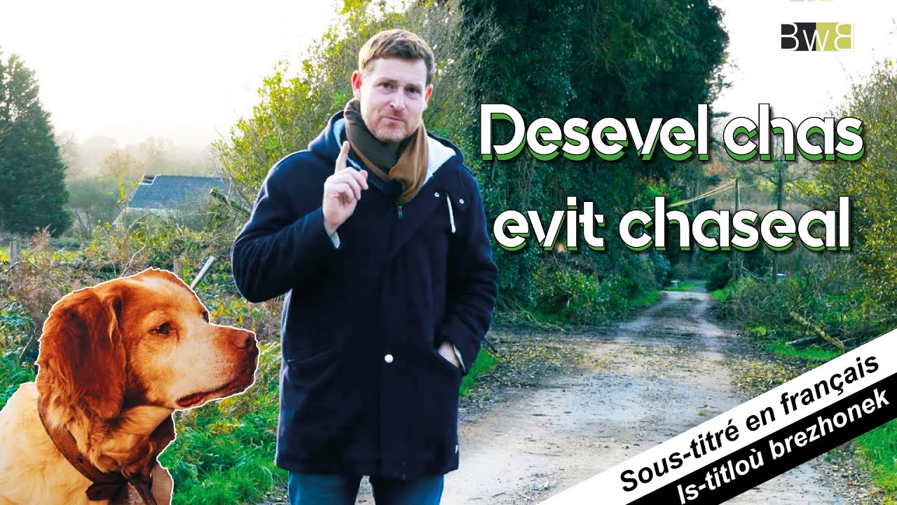 Desevel chas evit chaseal 🐕 /🦺 Élever des chiens de chasse - 13 Munud e Breizh