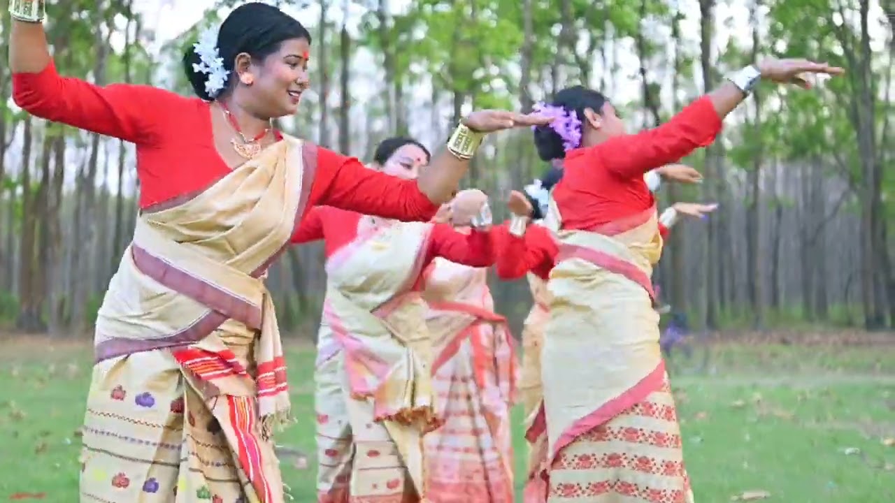 Bihu Bihu Lagise || Barikha Patharat ||  Nilakshi Neog ||  Bihu Dance || DMD Creations
