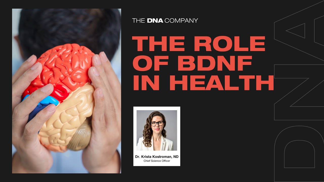The Role of BDNF in Health