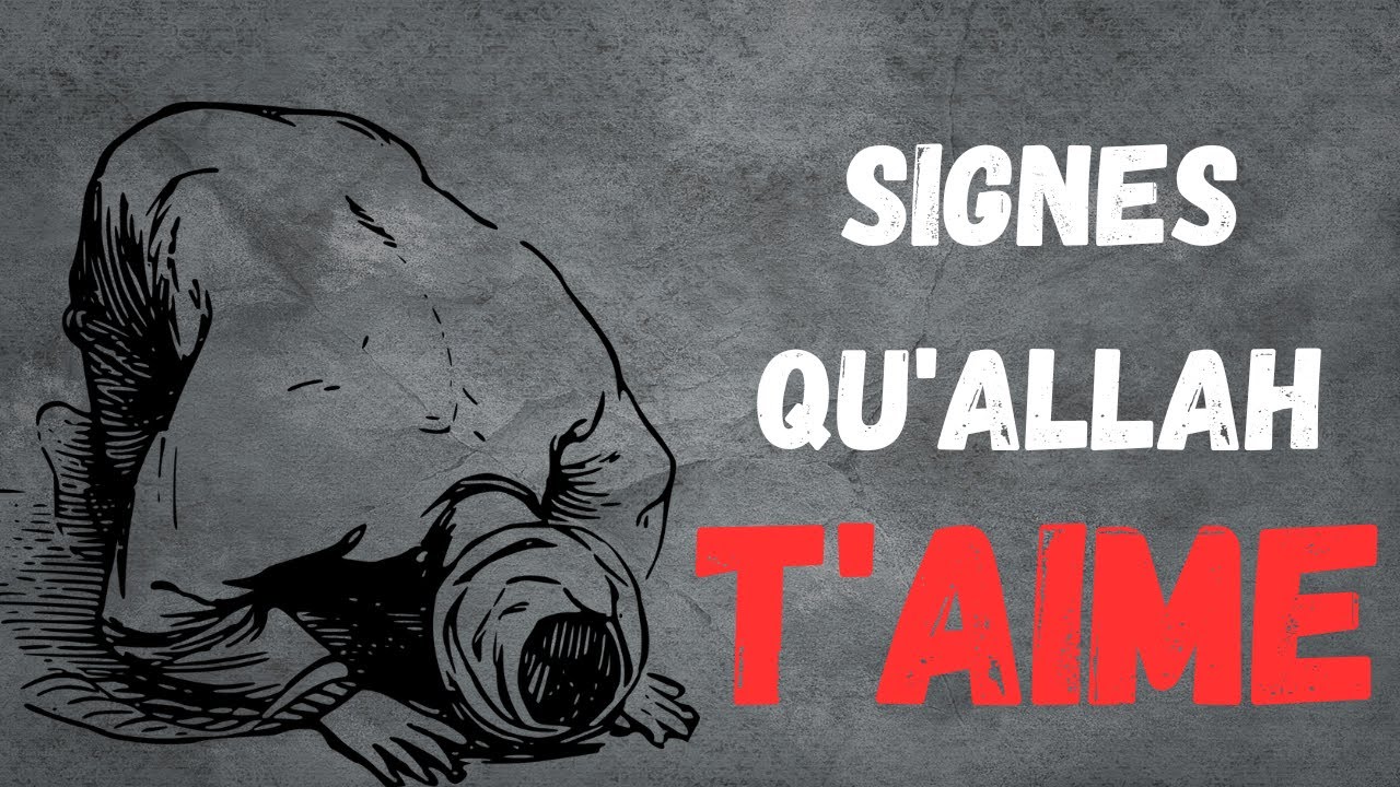 Les Signes Qui Montrent Qu'Allah T'Aime