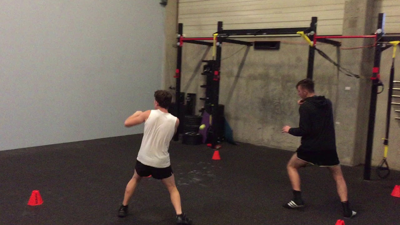 Box egyèni reflex gyakorlat teniszlabdával I.