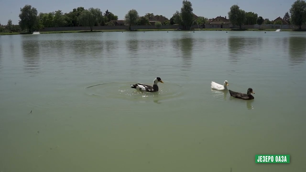 Reke i jezera - Jezero Oaza