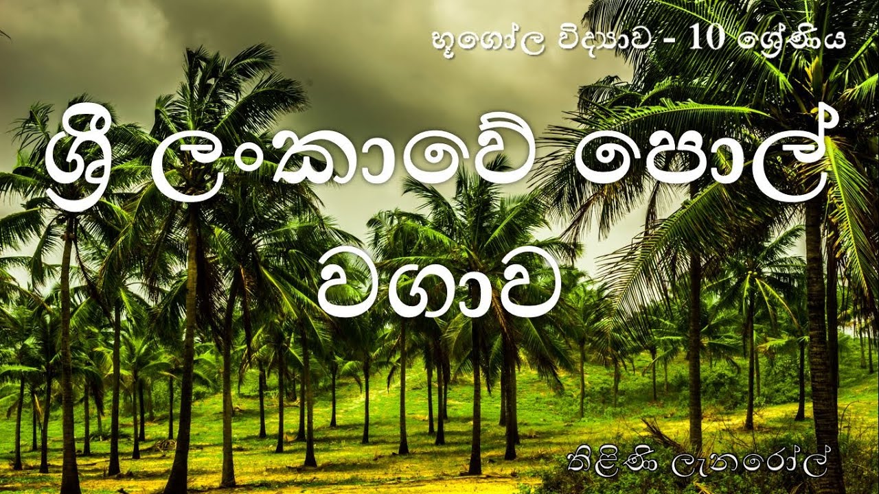 භූගෝල විද්‍යාව 10 ශ්‍රේණිය - 4 පාඩම : ශ්‍රී ලංකාවේ පොල් වගාව