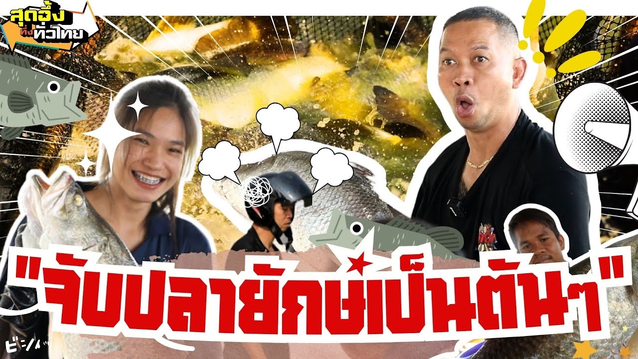 เลี้ยงกะพงให้ขนาดยักษ์จับมาแปรรูปขายได้ทุกชิ้นส่วน | สุดอึ้งทึ่งทั่วไทย