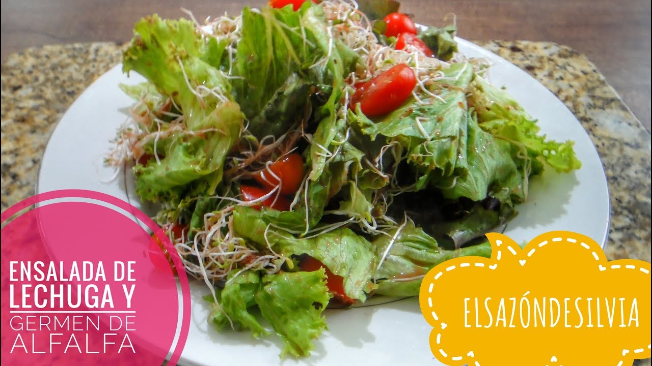 Ensalada de Lechuga, Germen de alfalfa y Vinagreta de Fresa - ElSazóndeSilvia
