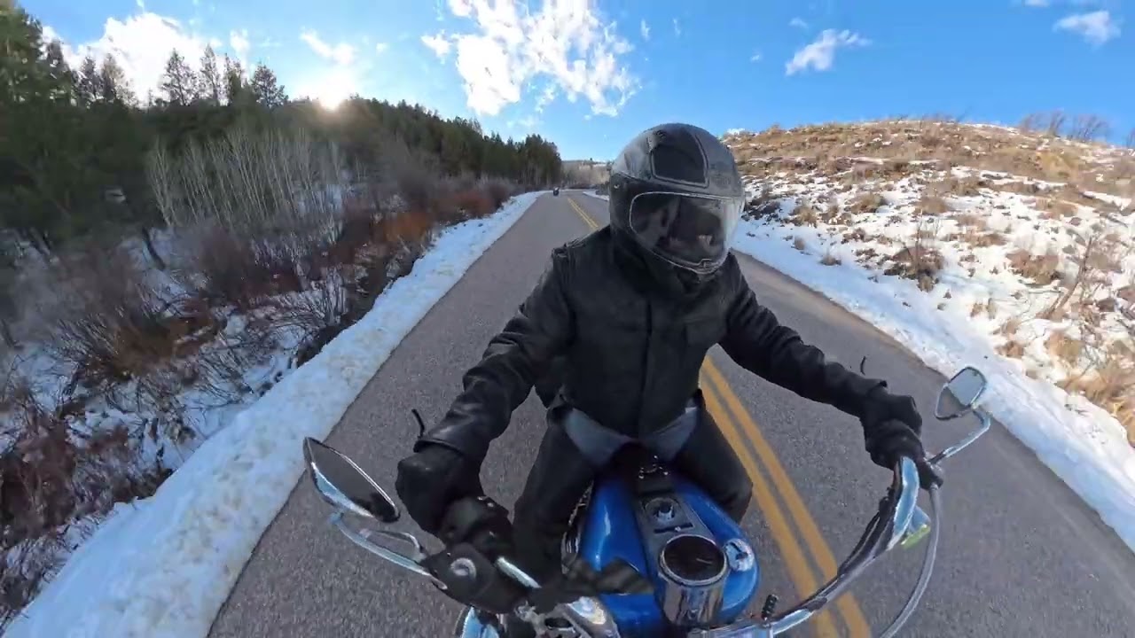 Buckskin in the snow, cold mountain pass. 