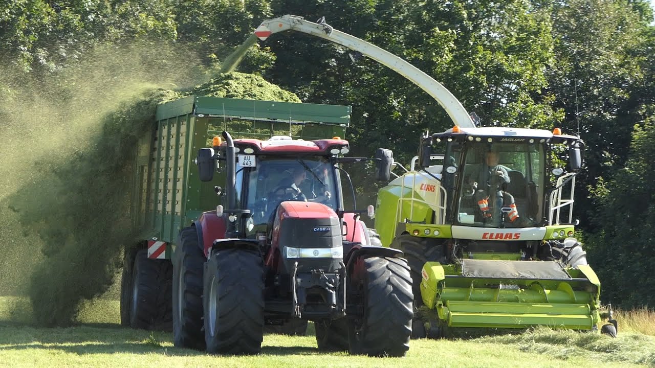 Claas Jaguar 950 chopping grass in big hilly field | Grass Season 2020 | Danish Agriculture