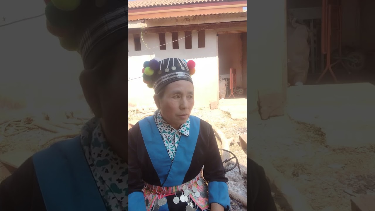 See yaj dab neeg 11 1 2026
