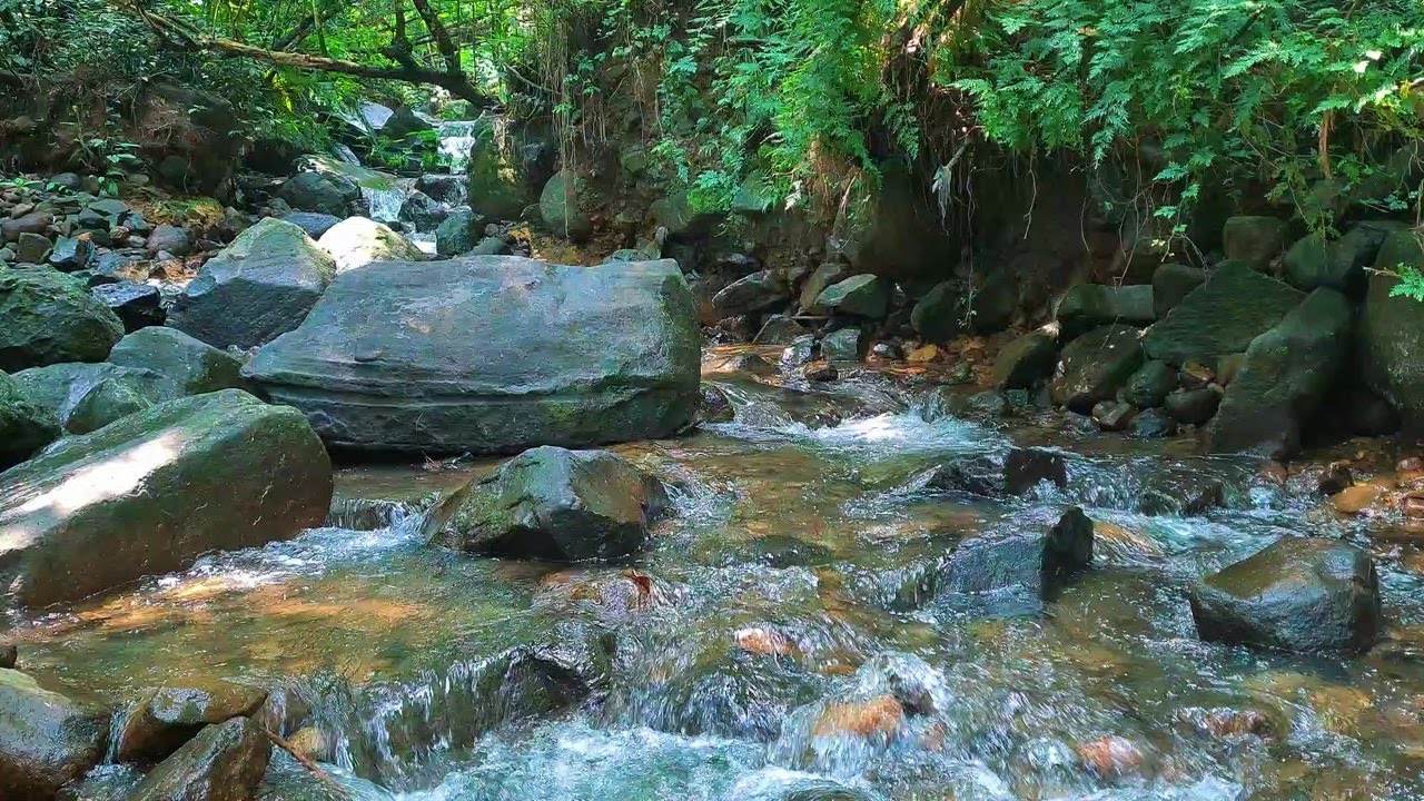 Relaxing Moonlit Water Flow – Peaceful River Sounds for Sleep and Calmness