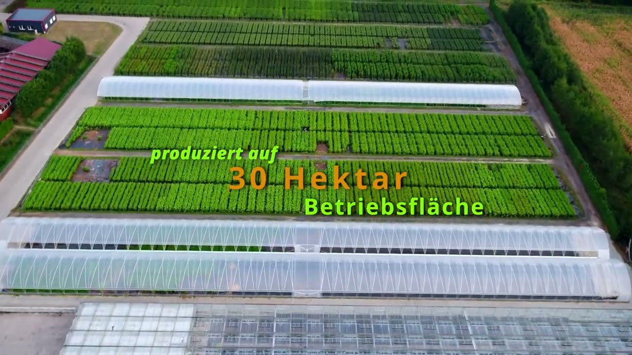 Bio Baumschule Geers Imagevideo 2023