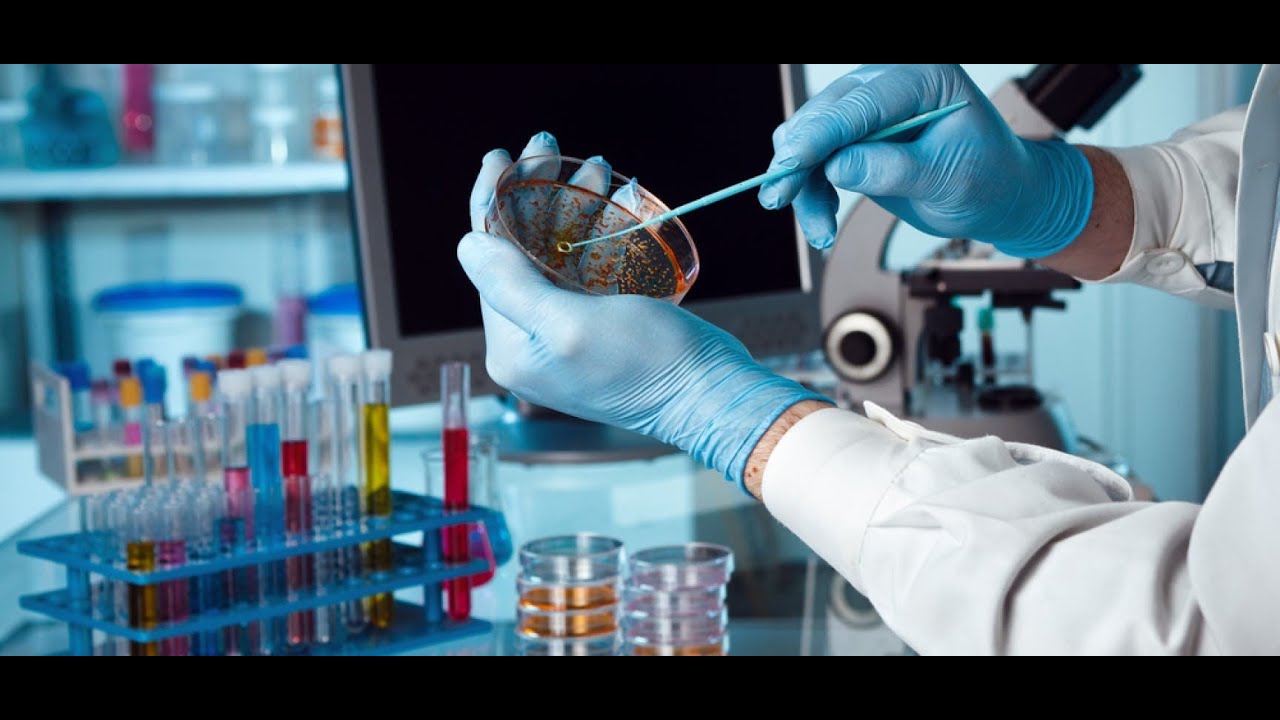 Biotecnolog&iacute;a: Descifrando la naturaleza. Documental