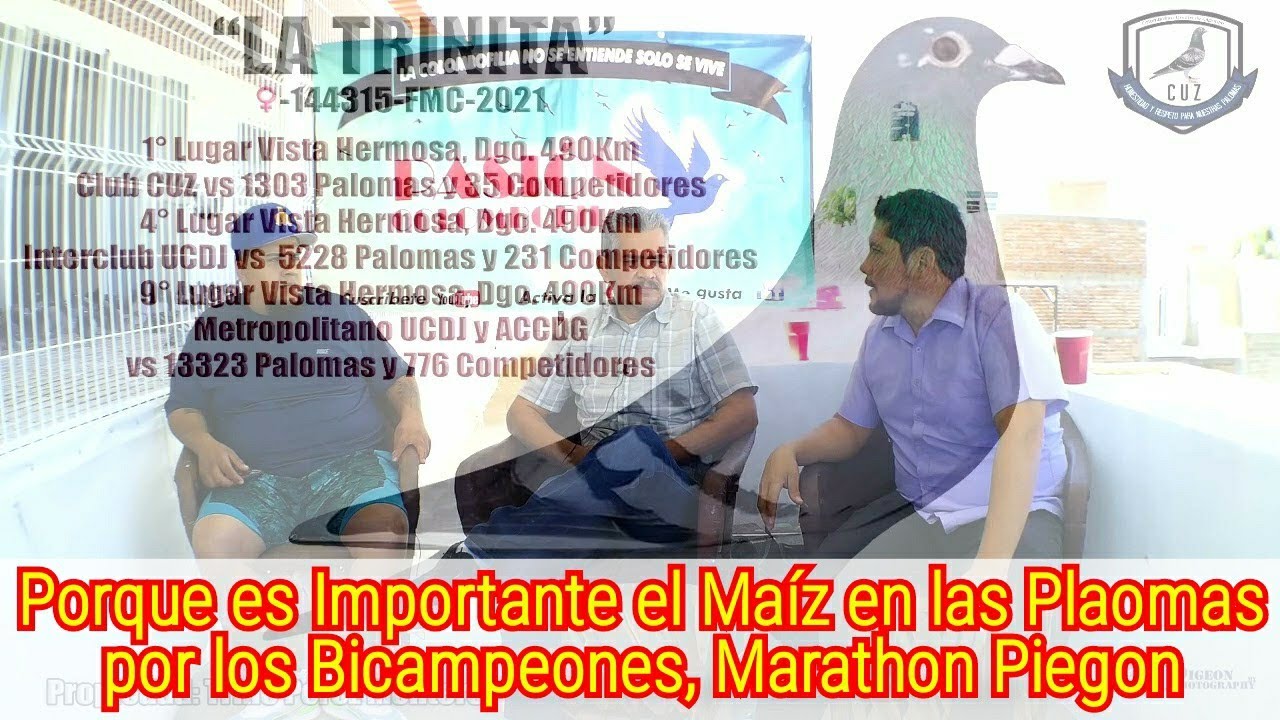 Porque es Importante el Maíz en las Plaomas por los Bicampeones, Marathon Piegon