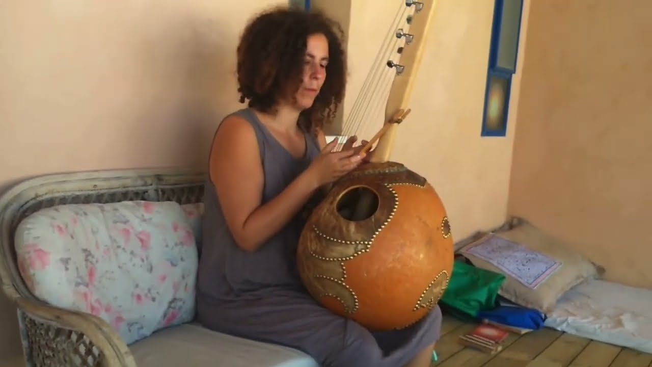 N'goni - African Harp Instrument