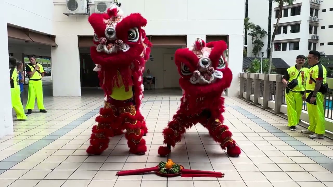 Chinese New Year 2026 Celebration 🧧 | Lion Dance & Festive Performance in Our Community🏮✨ #cny2026 