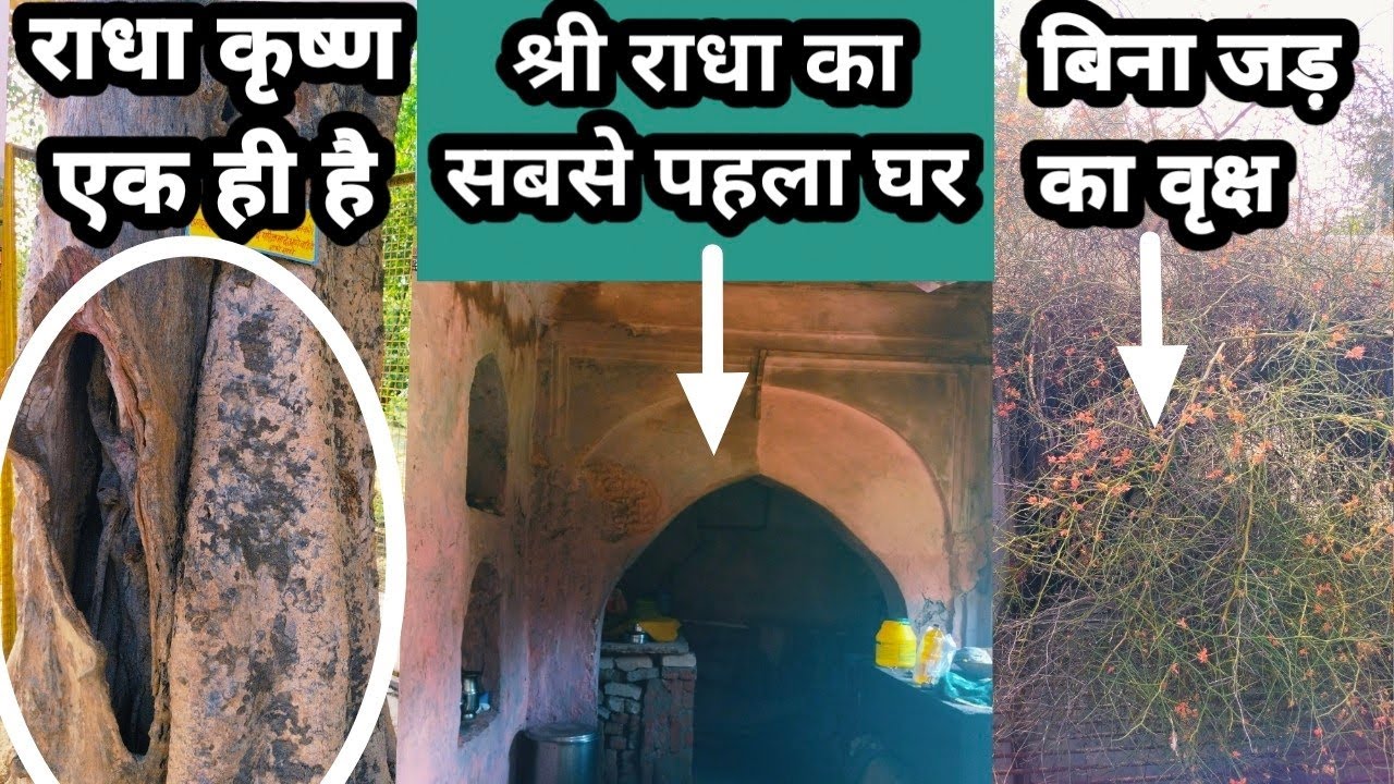 खेलते खेलते,राधा कृष्ण बन गए पेड़||यहां है राधा कृष्ण के एक होने के साक्षात प्रमाण, Rawal Mathura