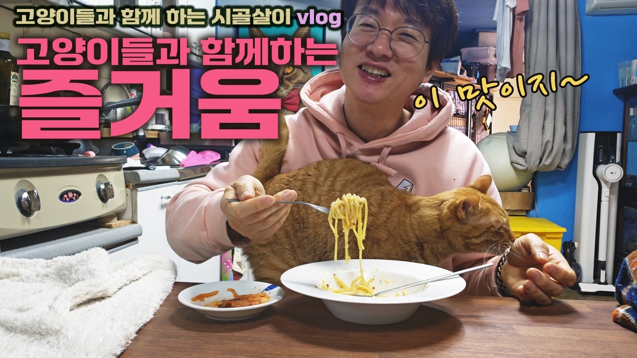 고양이랑 함께 사는 즐거움? / 고양이들과 함께 하는 시골살이 vlog