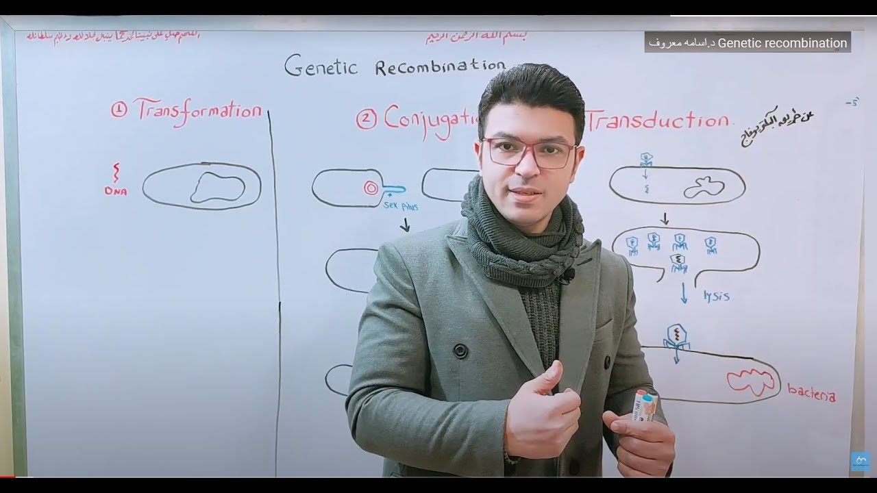 Genetic recombination in Bacteria -Gene transfer د.اسامه معروف- شير ولايك لو عجبك و اشترك في القناة