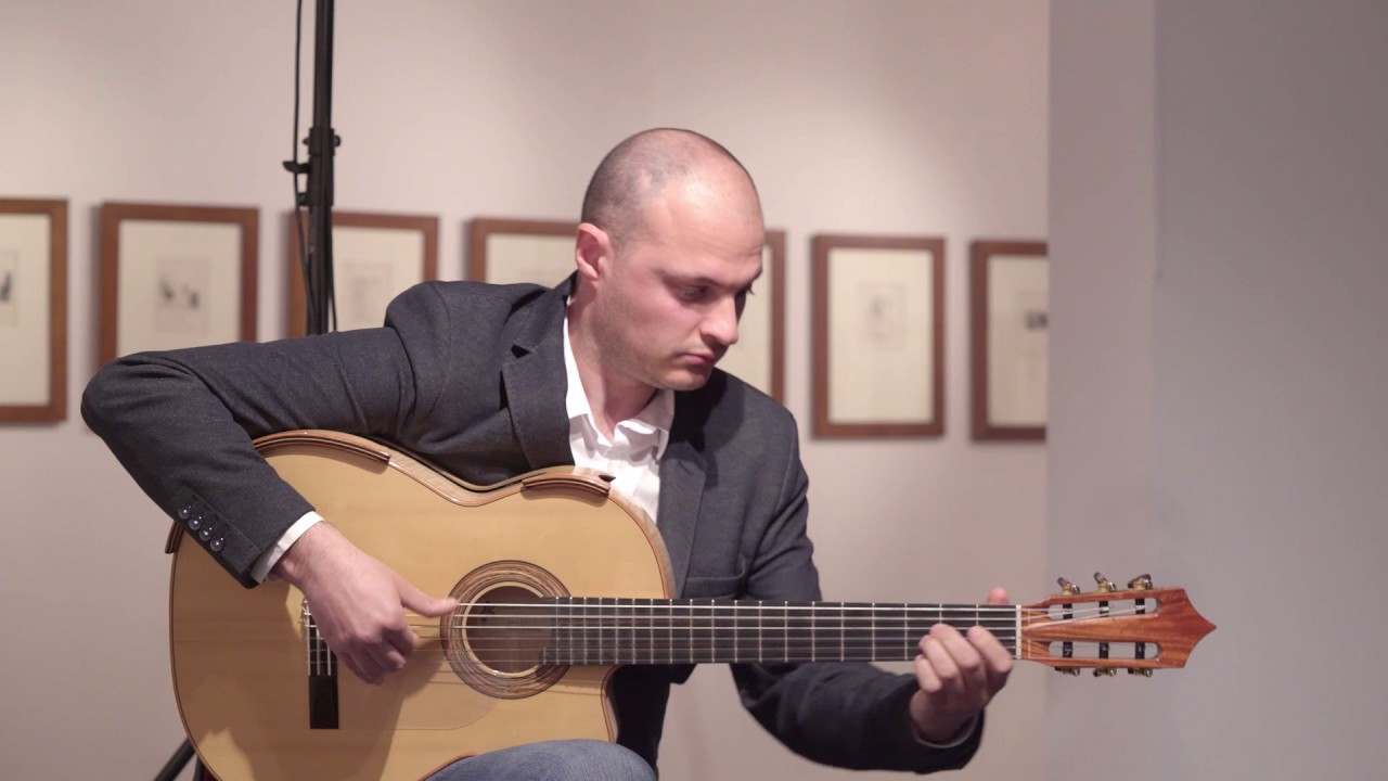 FLAVIO SALA - I Colori Dei Suoni Di Picasso (GUITAR CONCERT Full HD)