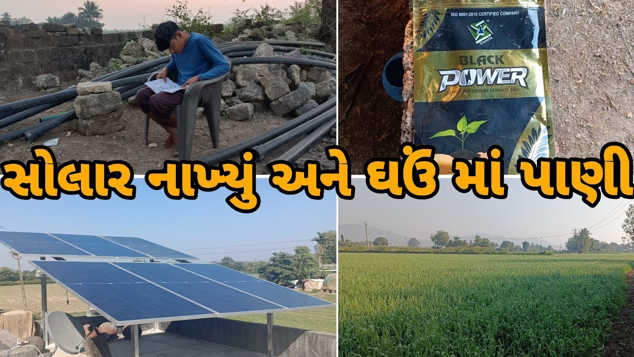 સોલાર નાખ્યું 💸 અને ઘઉંમાં પાણી 🌾