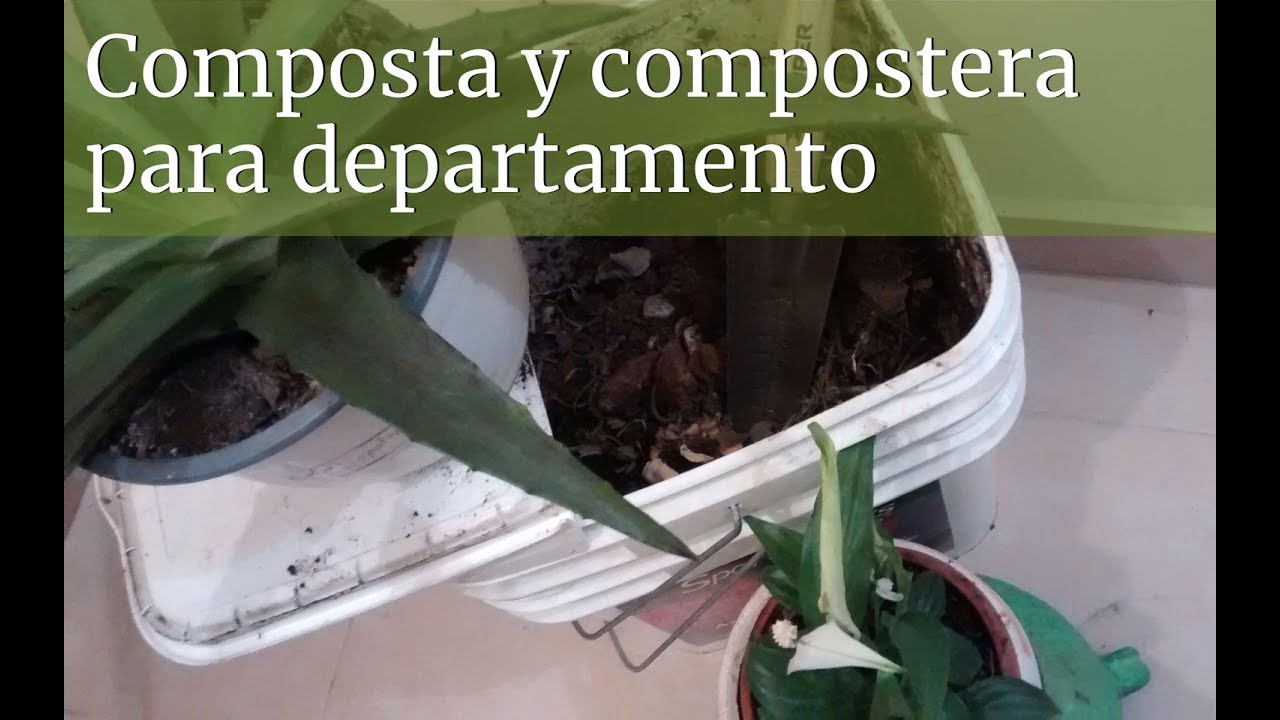 Cómo hacer composta en departamento | Recicla y haz tu propia compostera