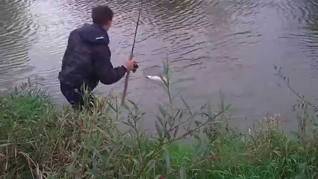 Boleń w drugim rzucie | Aspius Fishing