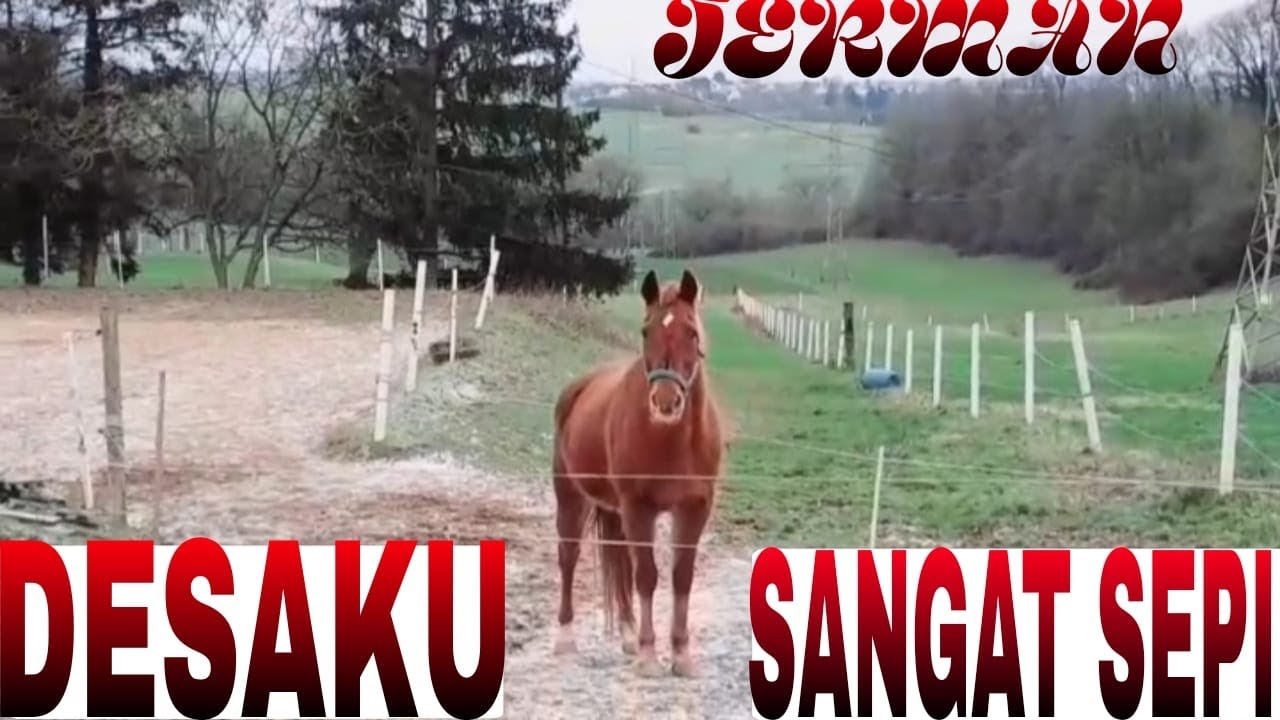 DESA SAYA DI JERMAN SANGAT SEPI