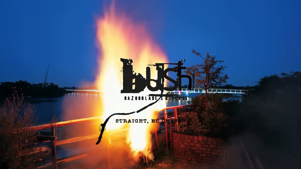 BUSH - Straight, No Chaser (Official Visualizer)