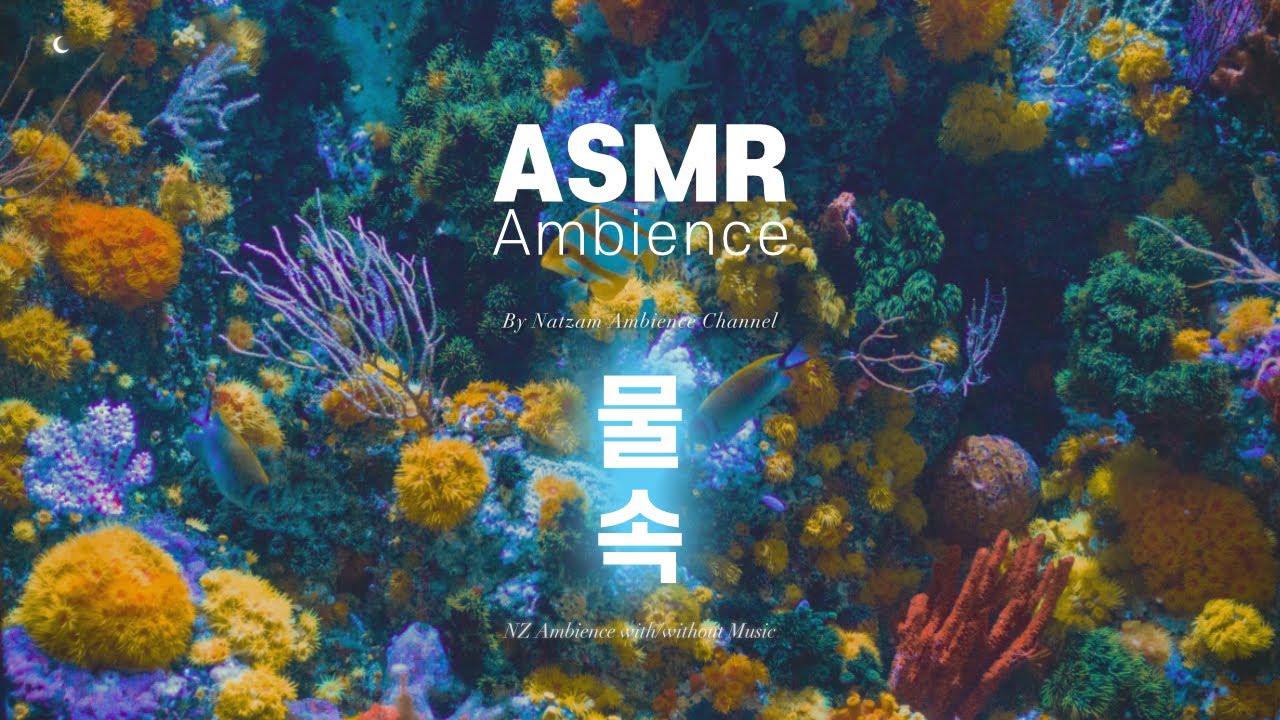 설마, 거기 갇혀 있는 거야?🌙신비롭고 묘한 물속의 소리들 [아쿠아리움] ASMR