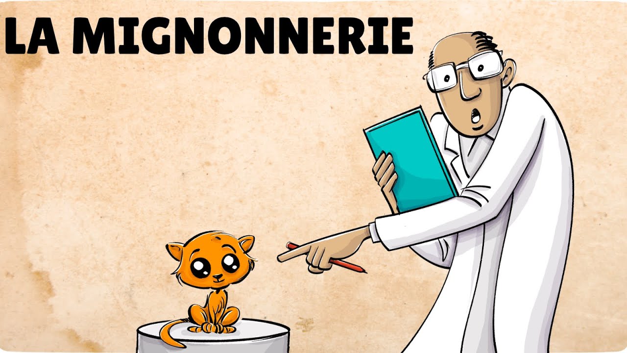Le pouvoir du mignon : les chatons peuvent-ils affûter notre intelligence ?😺