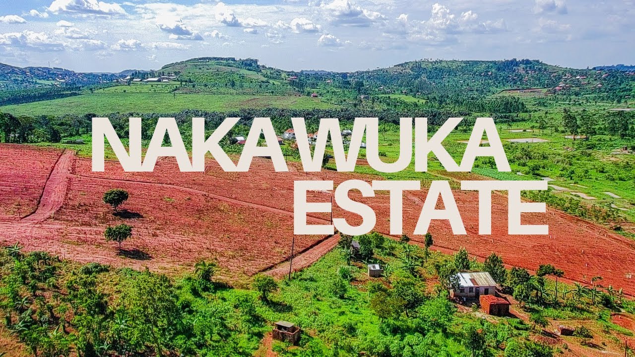 Affordable land in Nakawuka (27m) 50x100ft with land titles 