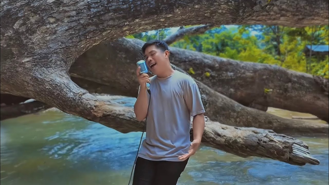 I’ll Never Love This Way Again - Dion Warwick (Anthony Uy Cover) Male Version