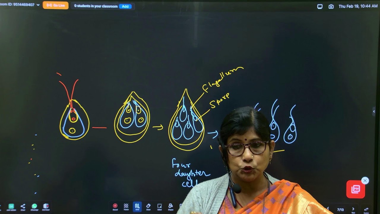 BSEB Class 12 | BIOLOGY | Types of Asexual Reproduction |12th TOPPERS LEAGUE 2027 | Grip Arena