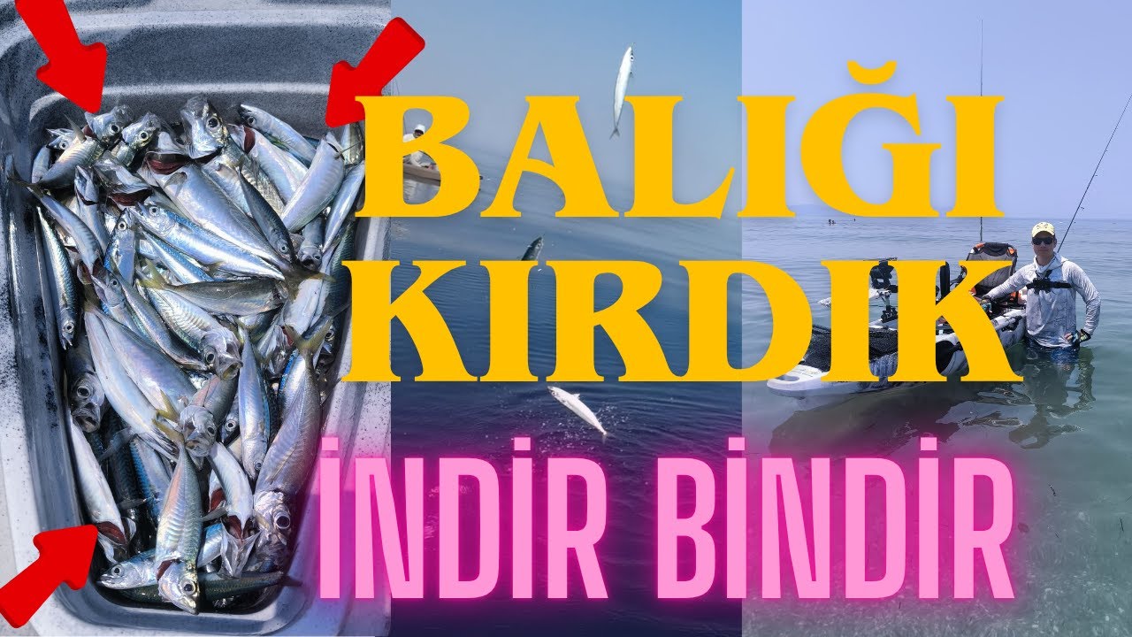 İNDİR BİNDİR BALIK TUTTUK - ÇAPARİYLE BALIK NASIL TUTULUR ? - PEDALLI KANOYLA BALIK AVI #fishing