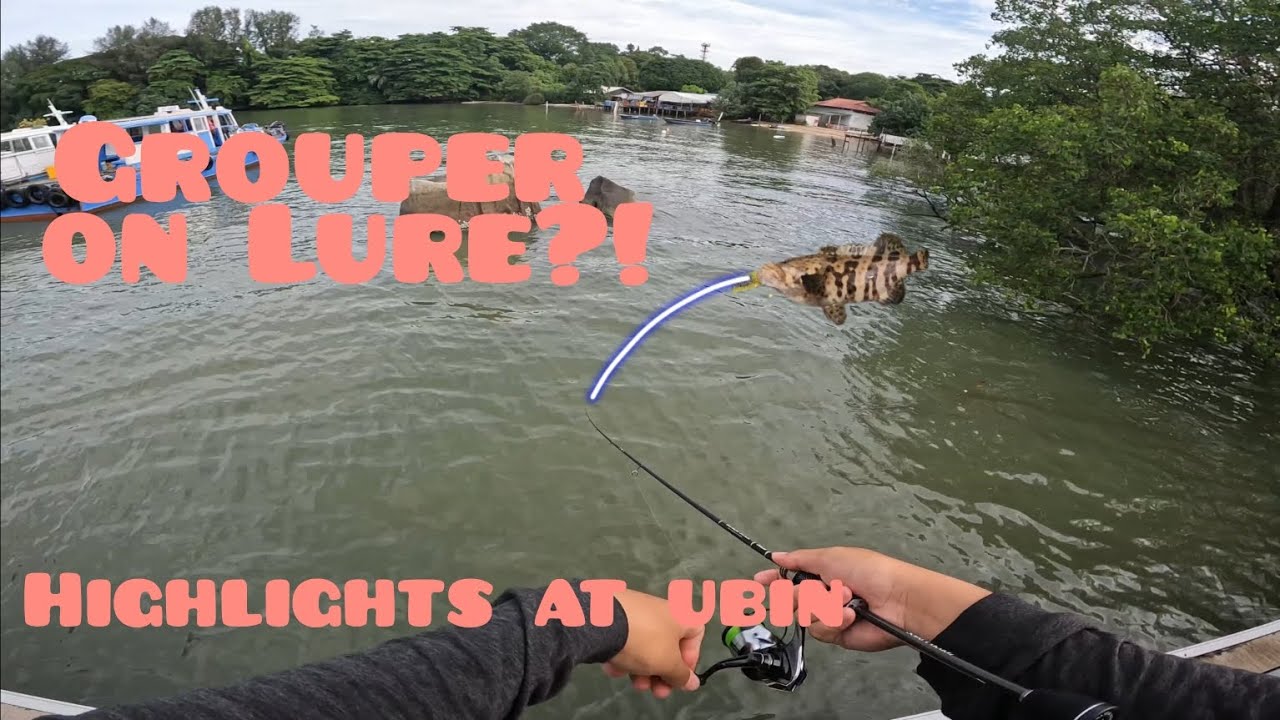 Easy Luring at Ubin before overseas! | Singapore Fishing |
