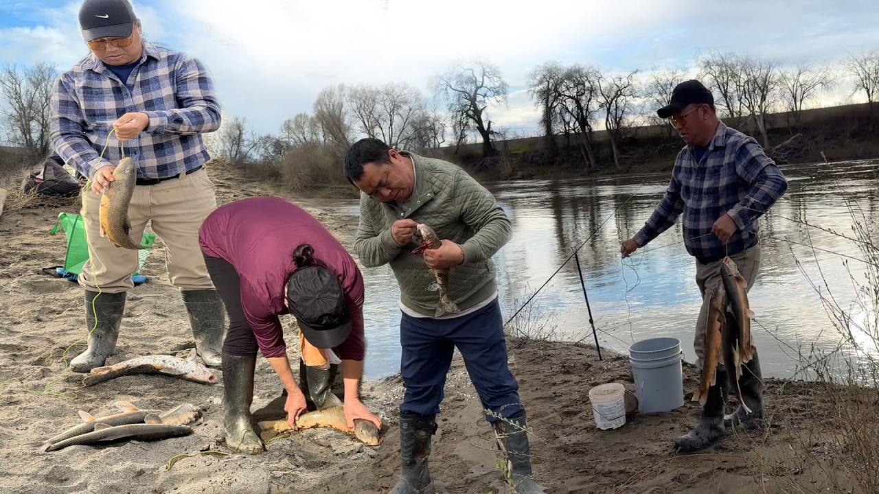 Fishing Sacramento River | Yos hav dej nuv ntses February 24, 2026
