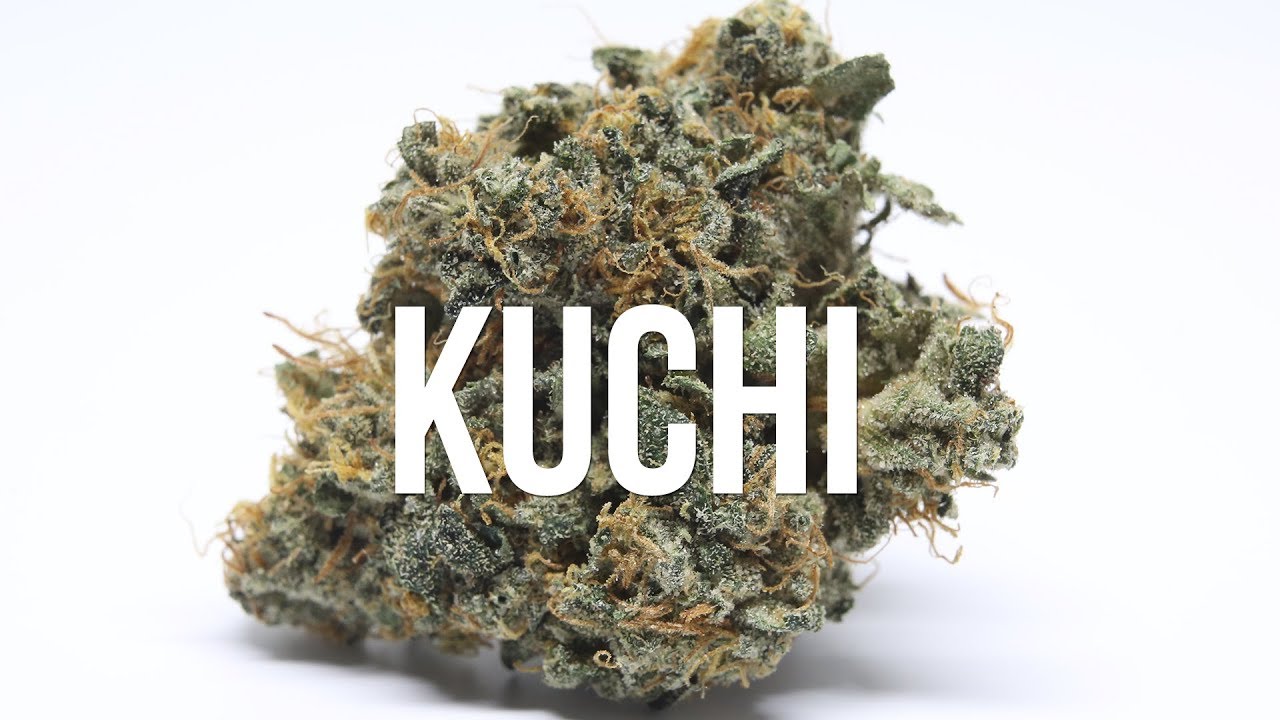 Kuchi Strain Review