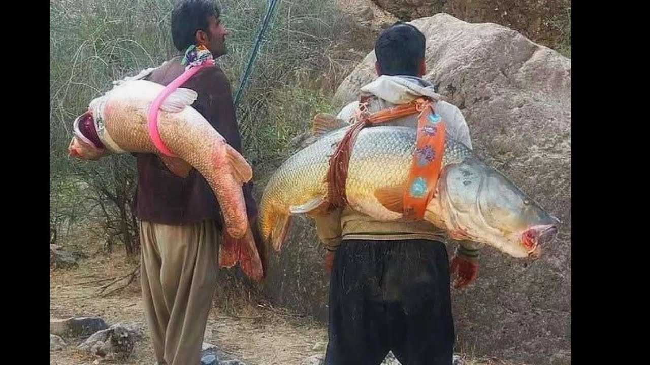 fishing training;Nomadic family and passionate fishing: Sherbat #fishing and unforgettable memories