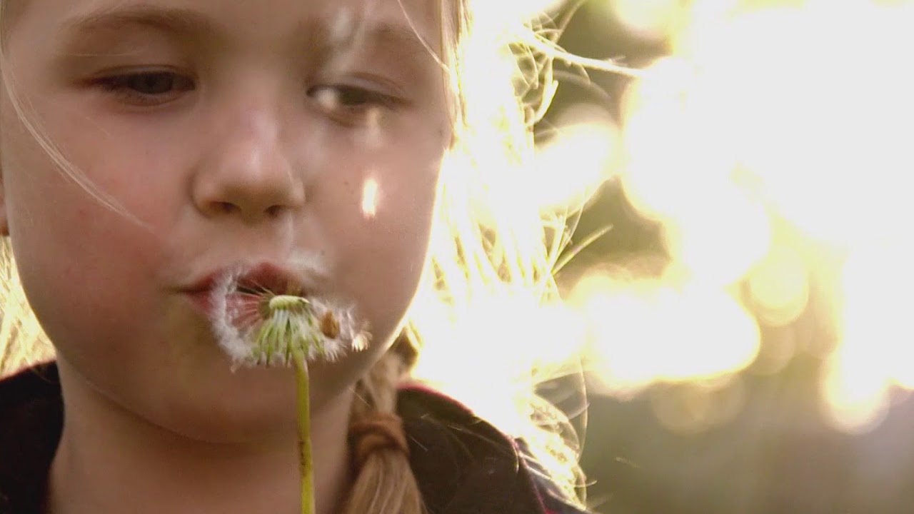 Deadline Media Showreel 2015