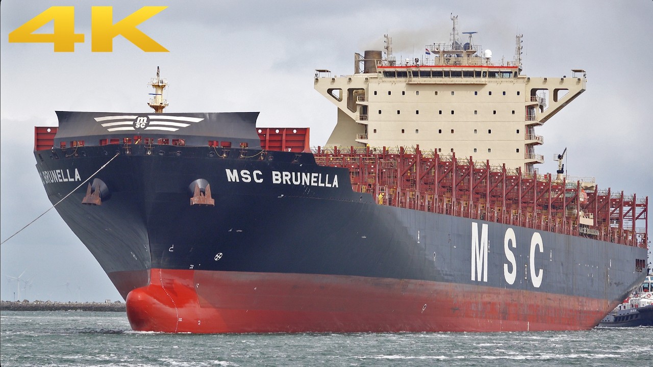 🛳️ HEAVY MARITIME TRAFFIC AT THE PORT OF ⚓️ ROTTERDAM 🇳🇱 4K SHIPSPOTTING 2026
