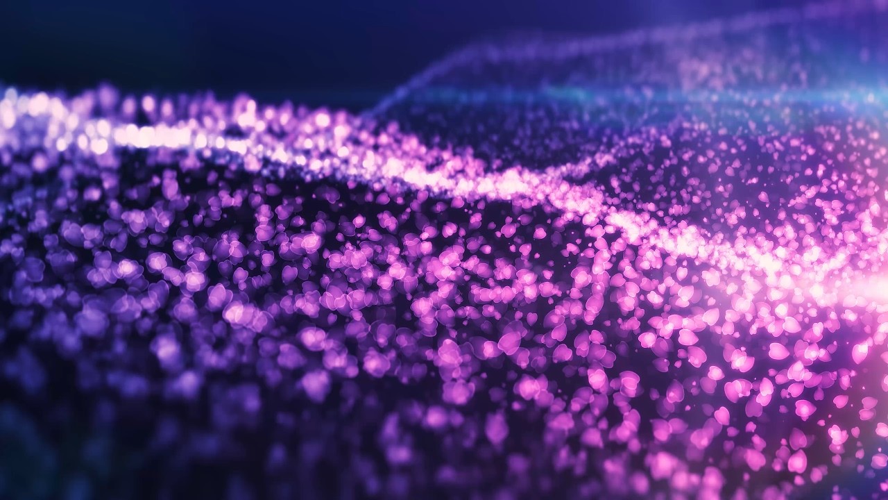 Sakura Petals on Water Loop 4K 60fps | Free Particle Background | 10 Min